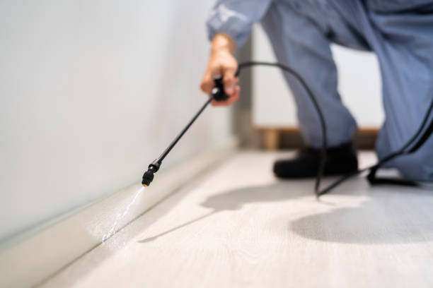 Licensed Pest Control service in Four Bridges, OH - Show Me Pest Control