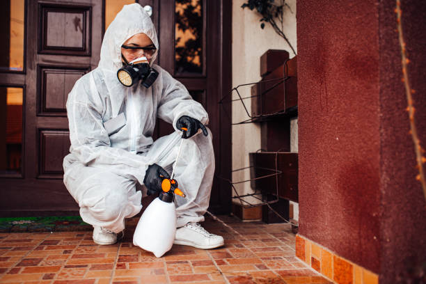 Reliable Wasp Removal contractor in Four Bridges, OH by Show Me Pest Control