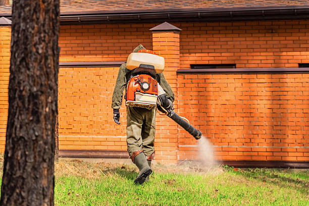 Top rated local Wasp Removal specialists in Four Bridges, OH